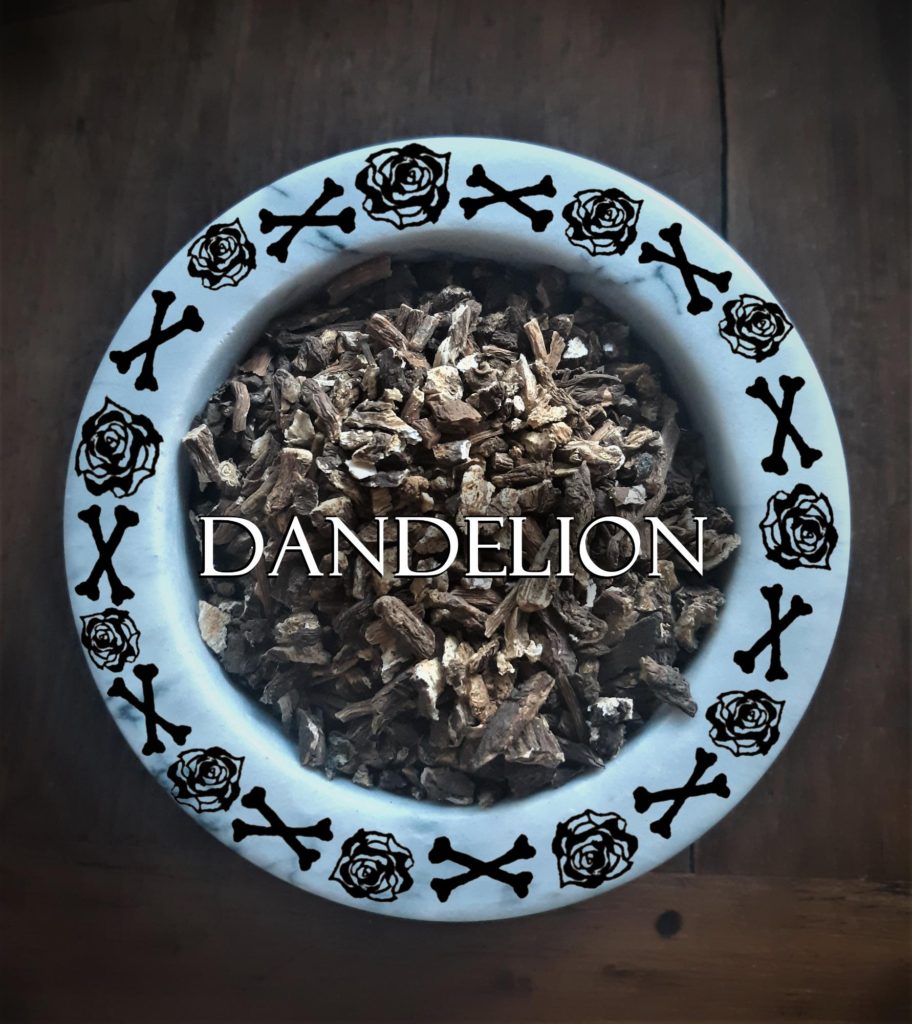 dandelion, dandelion root, dandelion benefits, herbal medicine, dandelion witchcraft