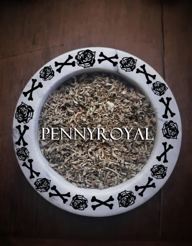 Pennyroyal, Pennyroyal Mentha pulegiodes, plant spirit, Mars-ruled plant, herbs of Mars, Mars-ruled herbs