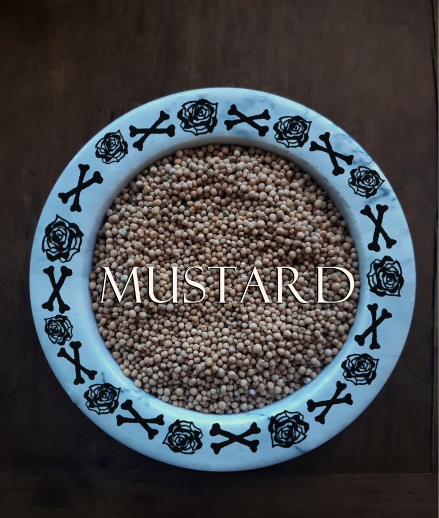 Mustard, Mustard Properties, Th-HERBS-day, Eye of Newt, Mustard Seed Witchcraft