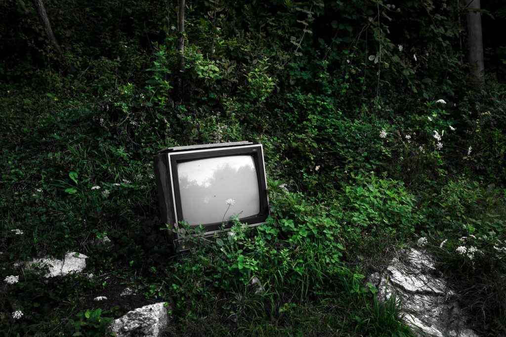 tv, forest, plants-7087860.jpg