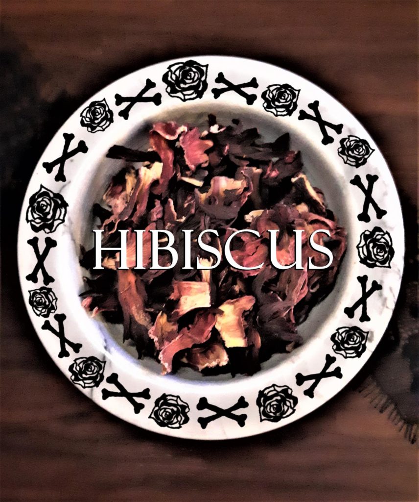 Hibiscus, Th-HERBS-day